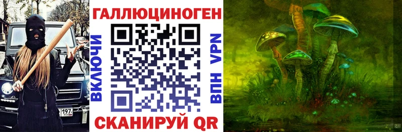 наркота  Новокузнецк  Псилоцибиновые грибы GOLDEN TEACHER 